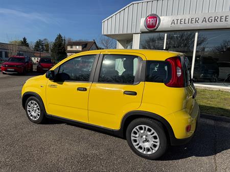 FIAT Fiat Panda 1.0 70 ch. Hybride BSG S/S City 