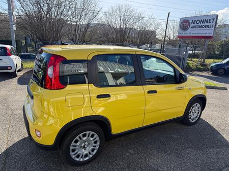 FIAT Fiat Panda 1.0 70 ch. Hybride BSG S/S City 
