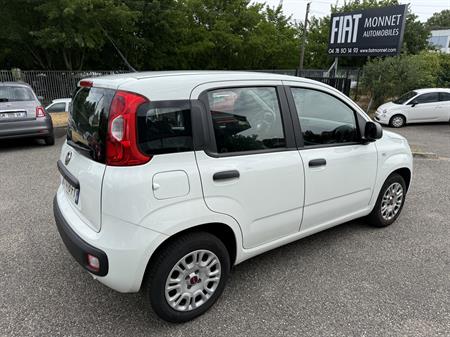 FIAT FIAT PANDA 1.2ie 69cv EASY