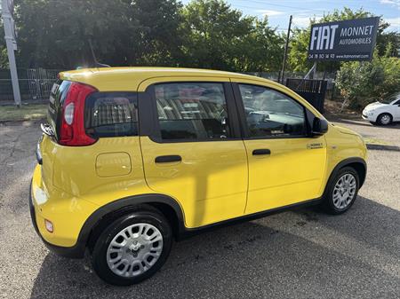 fiat Fiat Panda 1.0 70 ch. Hybride BSG S/S City